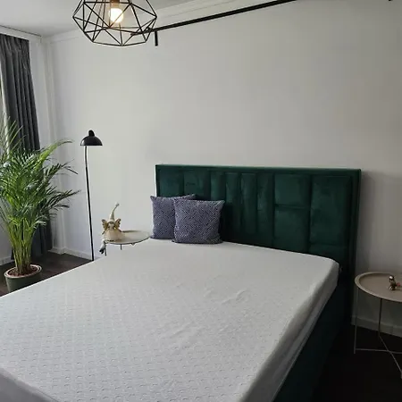 Barrique 24 - 2 - Breakfast Delivered & Minibar - Officially Classified * Brasov